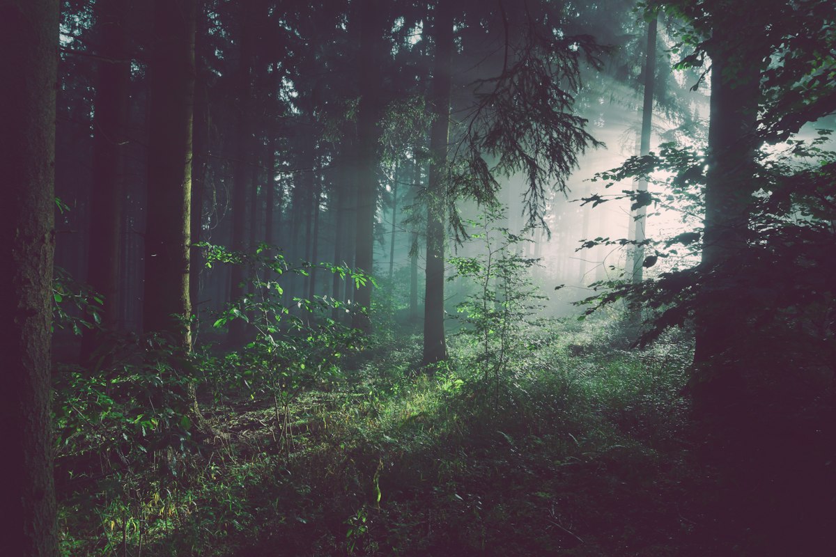 The Difference Between Venting and Rumination