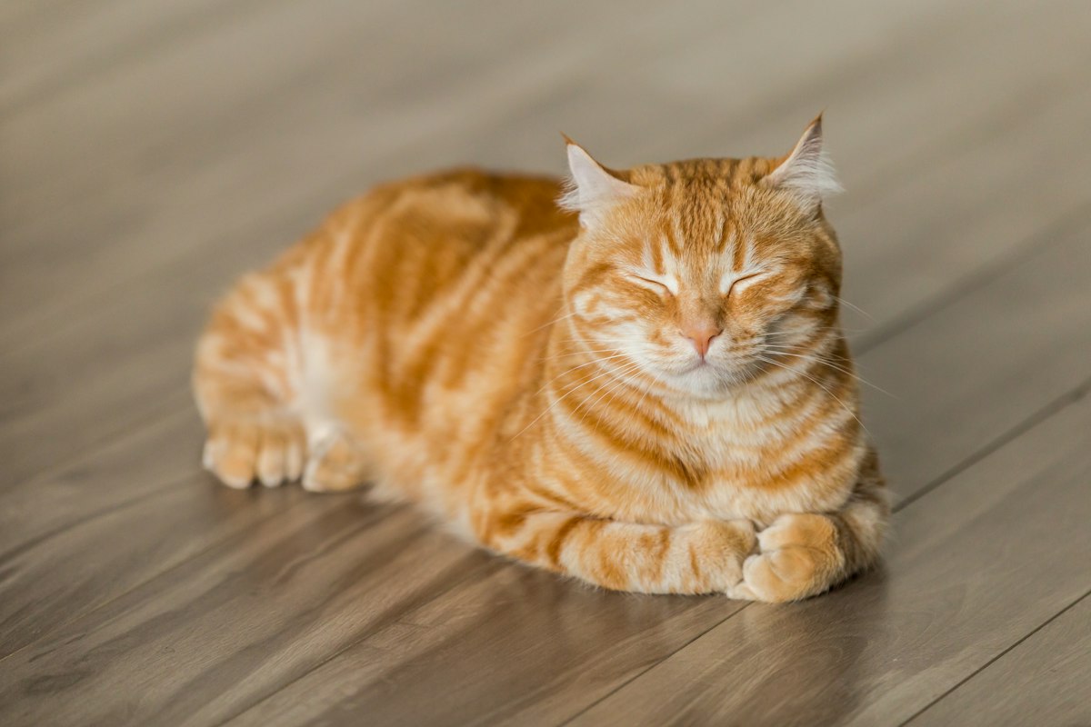 Why Rest Is Productive Even When You Have More to Do