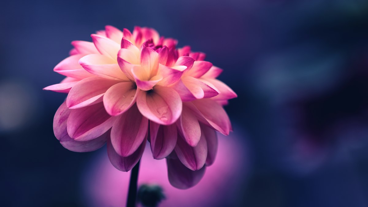 How to Create a Personal Self-Care Plan