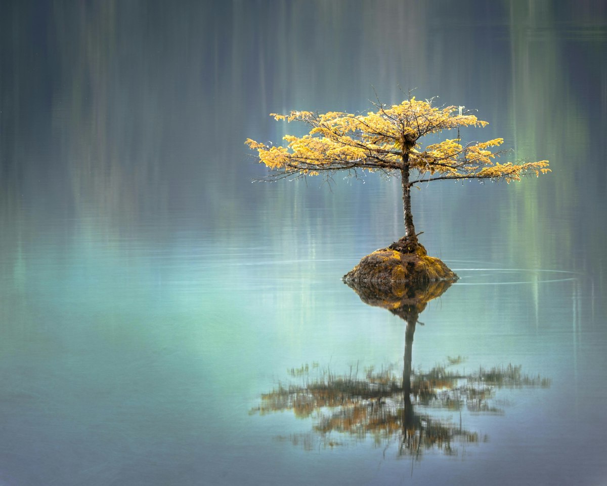 Brain dump journaling: a practical way to sort mental clutter