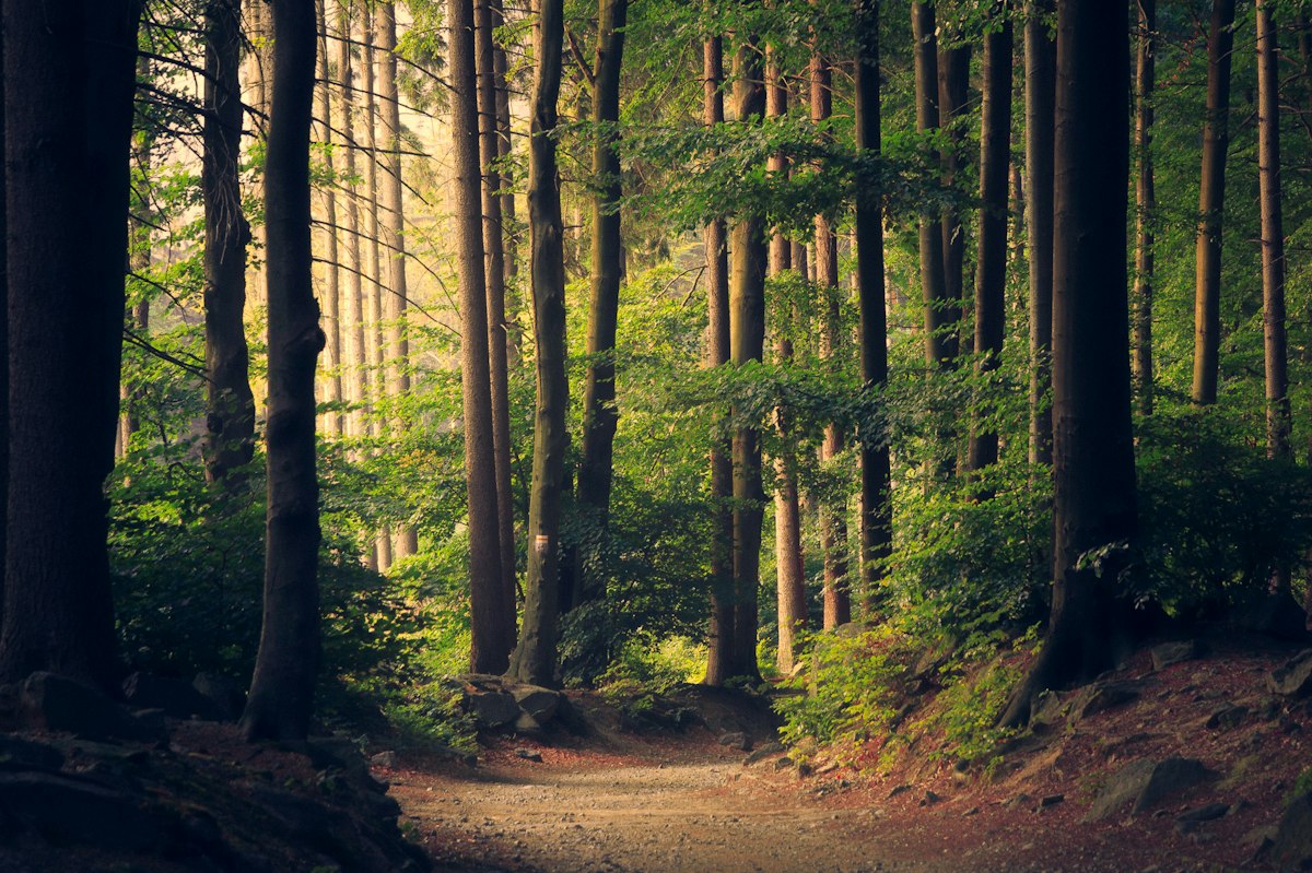 How to Process a Friendship That Is Changing