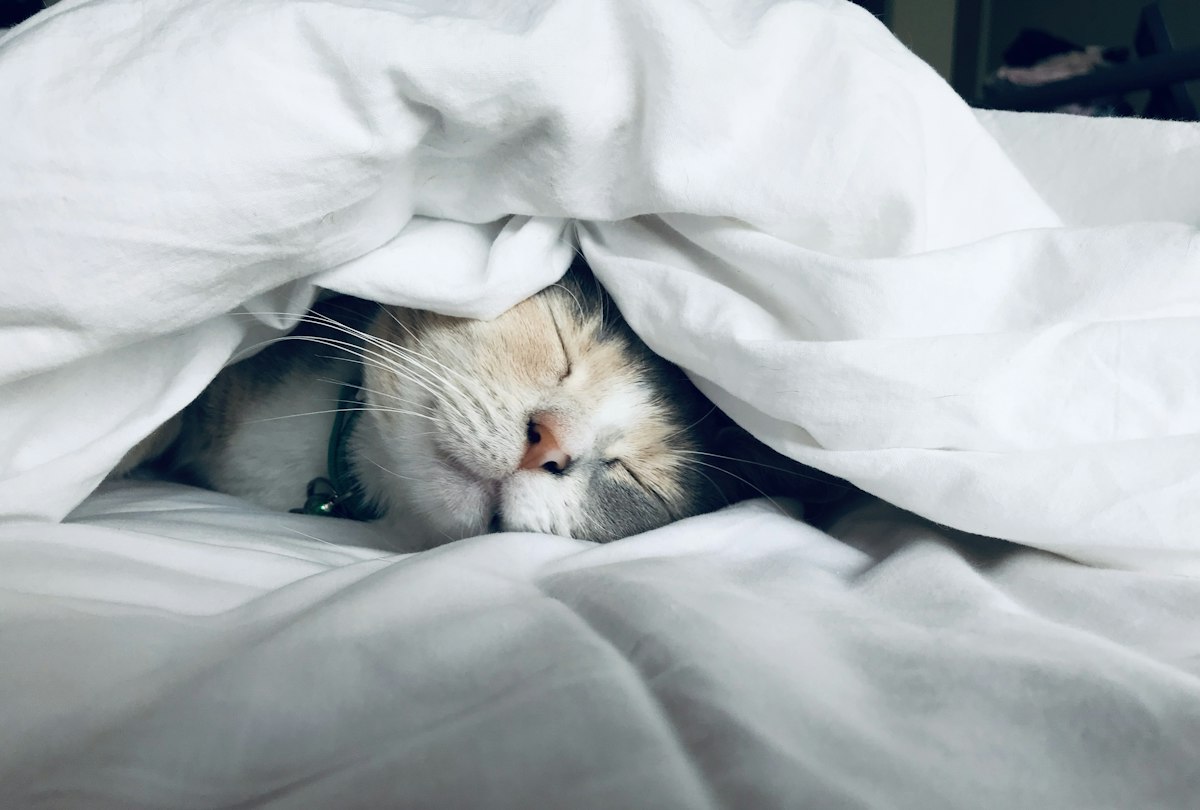 What to Do When You Feel Overstimulated After a Busy Day