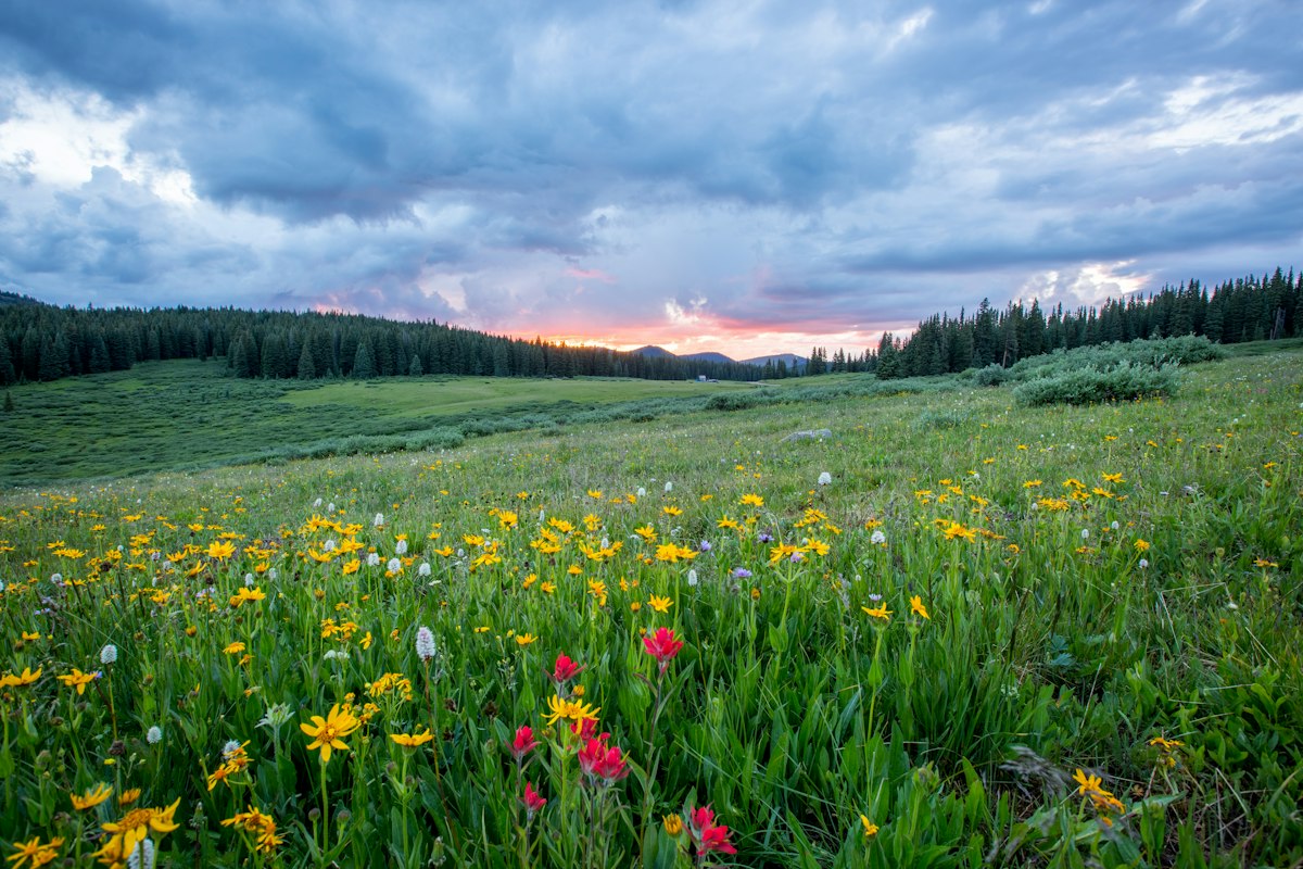When Friends Seem Ahead in Life: A Reflection on Comparison